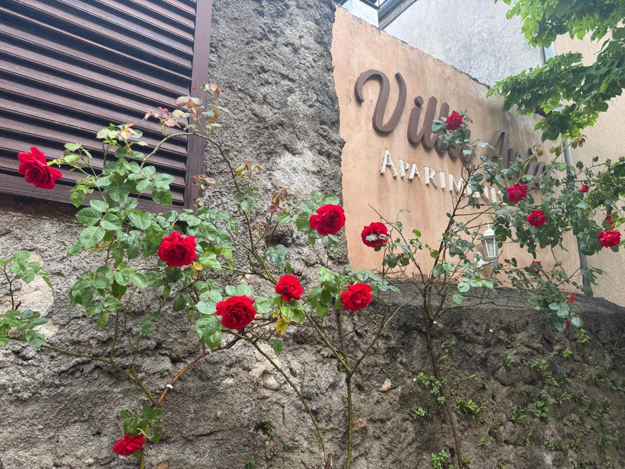 Villa Anja Apartments Mostar Exterior photo